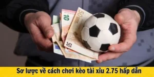 Hướng Dẫn Chi Tiết Cách Chơi Kèo 2.75 Đảm Bảo Hiệu Quả