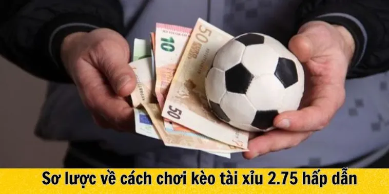 Hướng Dẫn Chi Tiết Cách Chơi Kèo 2.75 Đảm Bảo Hiệu Quả