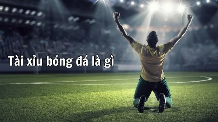 Hướng Dẫn Cách Chơi Kèo Tài Xỉu Bóng Đá Luôn Thắng Cho Người Mới