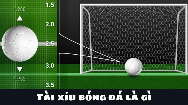Hướng Dẫn Cách Chơi Kèo Tài Xỉu Bóng Đá Luôn Thắng Cho Người Mới
