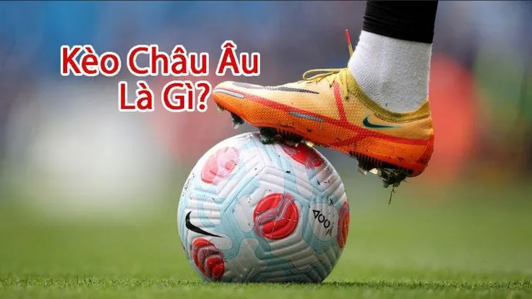 Hướng Dẫn Chi Tiết Cách Chơi Kèo Châu Âu Để Đạt Tỷ Lệ Thắng Cao