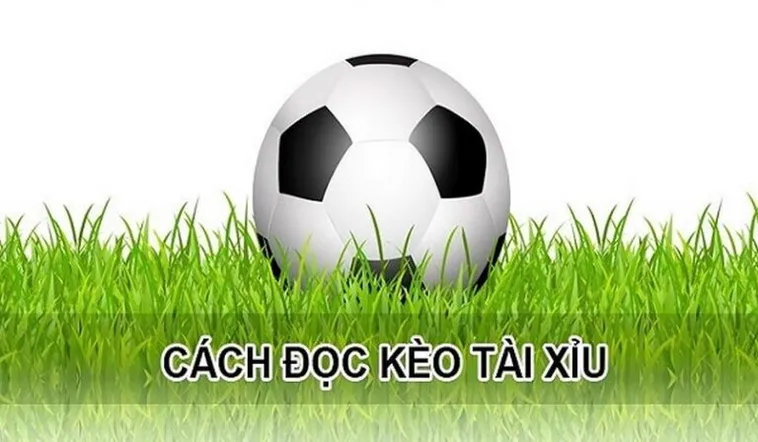 Bí Quyết Cách Chơi Kèo Tài Xỉu Hiệp 1 Luôn Thắng Lớn