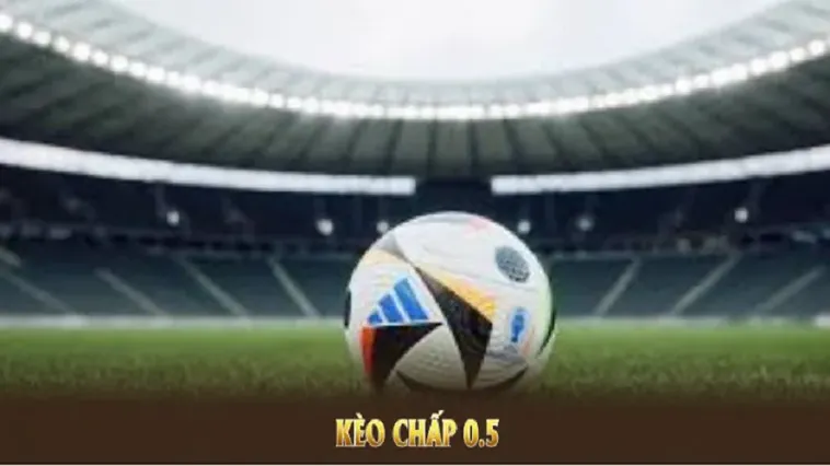 Những Cách Chơi Kèo Chấp 0.5 Trong Bóng Đá Đảm Bảo Thành Công