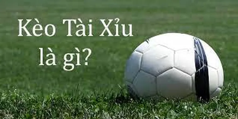 Hướng Dẫn Chi Tiết Cách Chơi Kèo Tài Xỉu Để Tối Ưu Hóa Lợi Nhuận