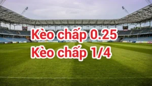 Hướng Dẫn Cách Chơi Kèo Chấp 0.25 Trong Bóng Đá Cho Người Mới